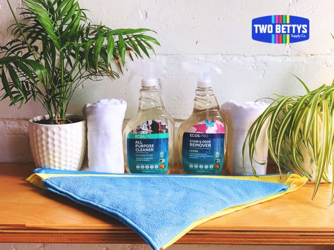 Two Bettys Supply Co green DIY Car Cleaning kit