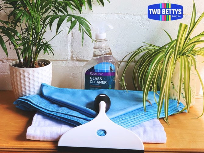 Two Bettys Supply Co Sparkling Windows DIY green cleaning kit