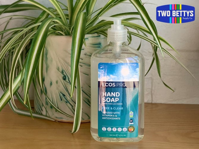 17 oz, clear pump bottle of ECOS Pro Free & Clear Hand Soap, with a green spider plant in the background.