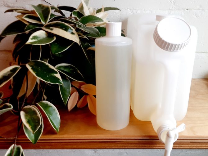 Product shot of a 32 oz bottle and large dispenser of castile soap, on a wooden surface, with a rubber plant in the background.