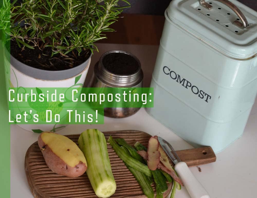 A potato and cucumber alongside their peels on a cutting board, with a white compost bin and rosemary plant nearby